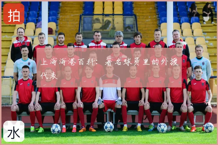 上海海港百科:著名球员里的外援代表
